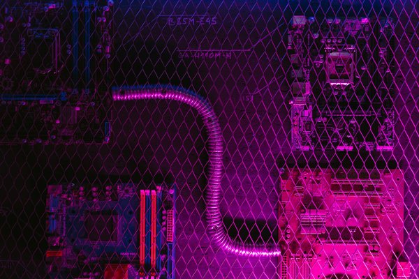 Affronter le froid : un jeu glacial qui sensibilise aux défis du changement climatique et à la préservation des écosystèmes polaires